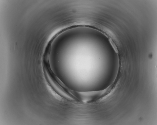 X0000092040942200709191057