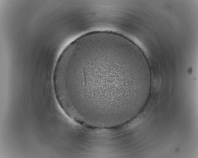 X0000092040943200709191057