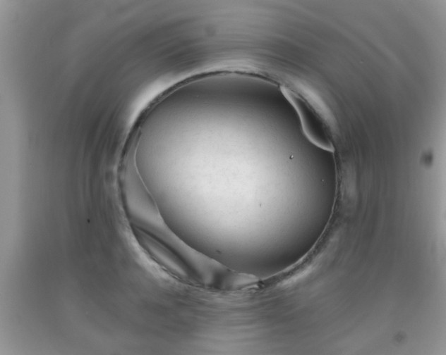 X0000092040944200709191057