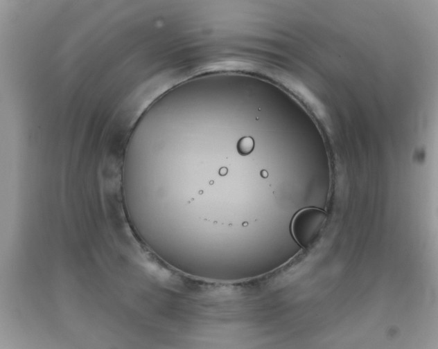 X0000092040945200709191057