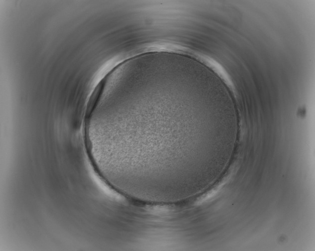 X0000092040946200709191057