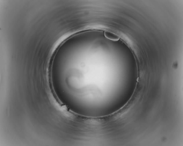 X0000092040947200709191057