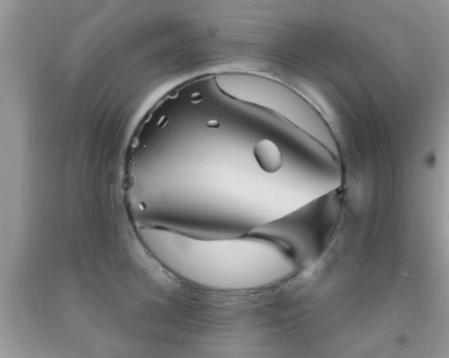 X0000092040948200709191057