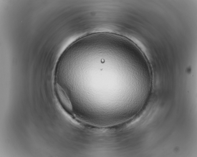 X0000092040949200709191057