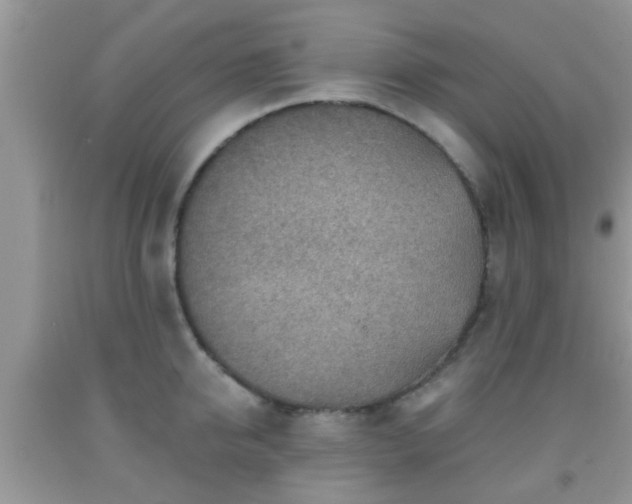 X0000092040950200709191057