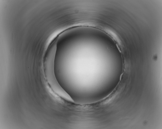 X0000092040952200709191057