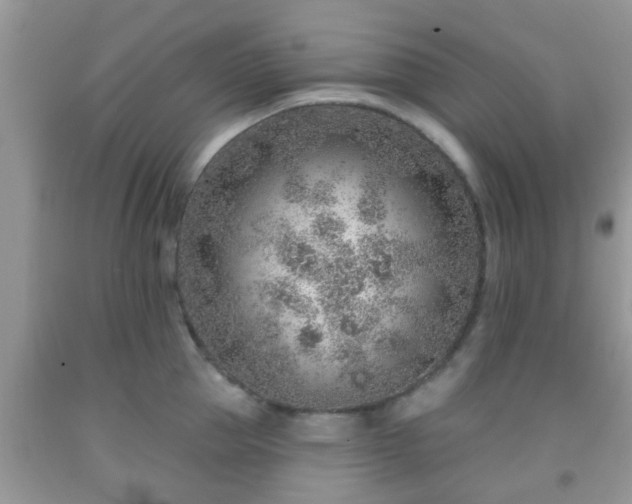 X0000092040953200709191057