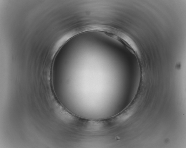 X0000092040954200709191057