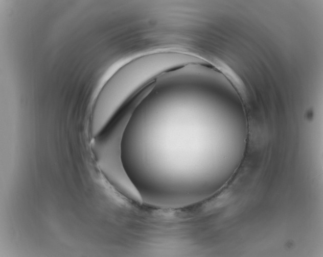 X0000092040956200709191058