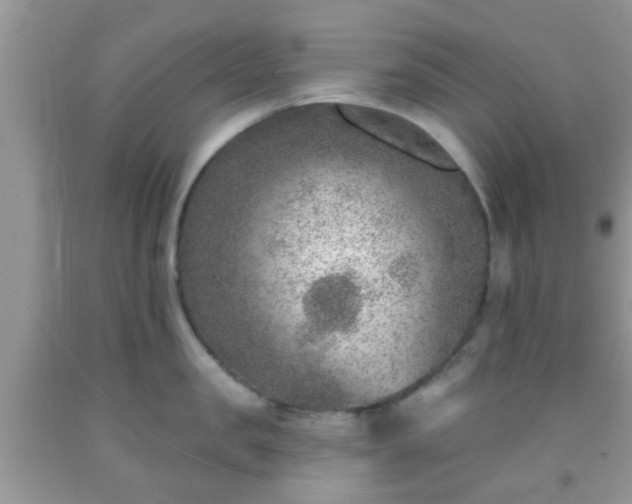 X0000092040957200709191058