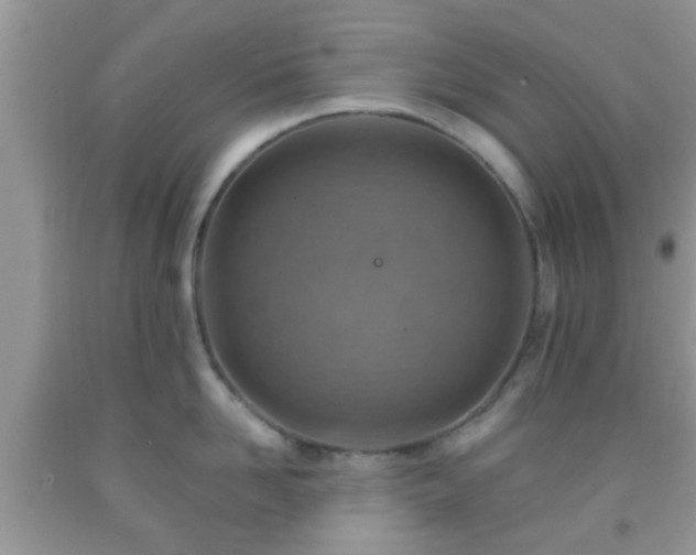 X0000092040958200709191058