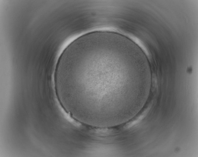 X0000092040959200709191058