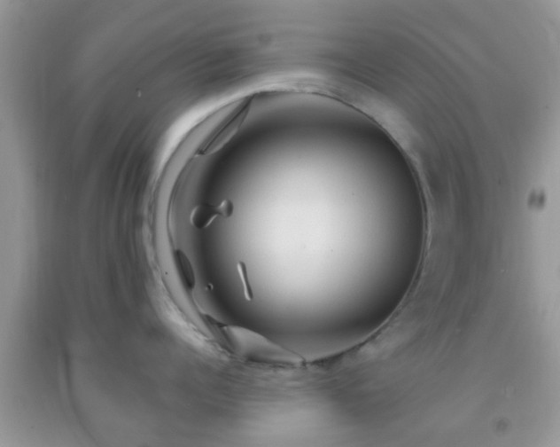 X0000092040960200709191058