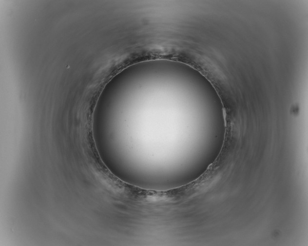 X0000092040961200709191057