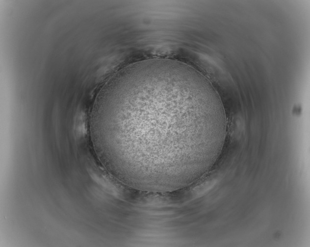 X0000092040962200709191057