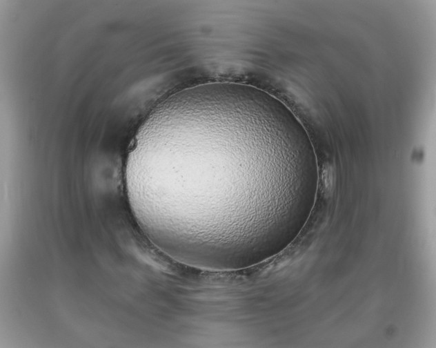 X0000092040963200709191057