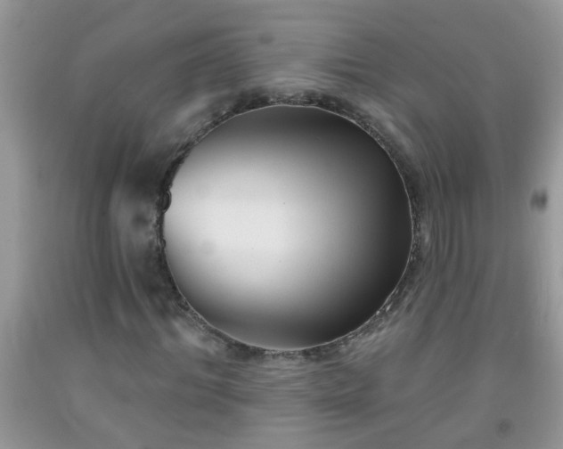 X0000092040964200709191057