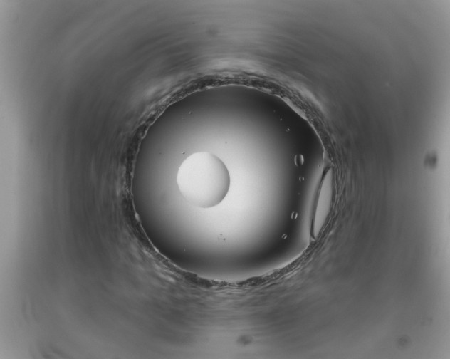 X0000092040965200709191057