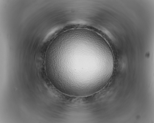 X0000092040967200709191057