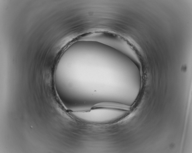 X0000092040969200709191057