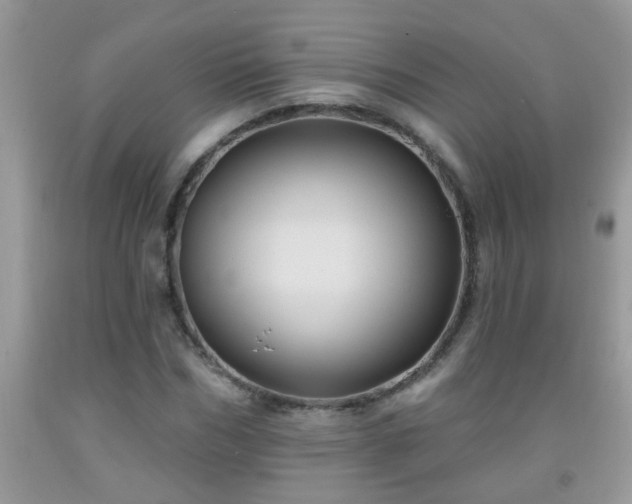 X0000092040970200709191057