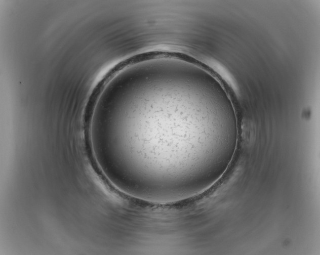 X0000092040972200709191057