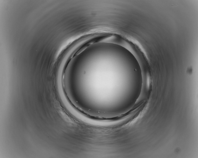 X0000092040973200709191057