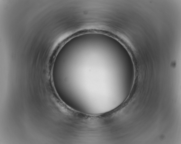 X0000092040974200709191057