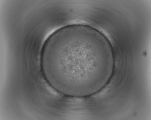 X0000092040975200709191057