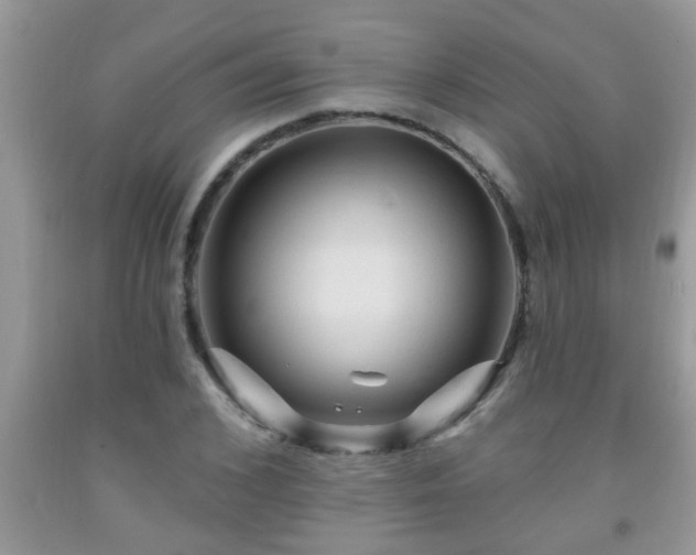 X0000092040976200709191057