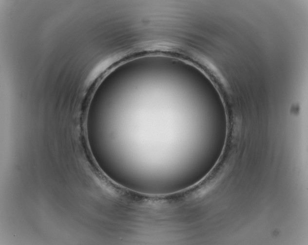 X0000092040978200709191057