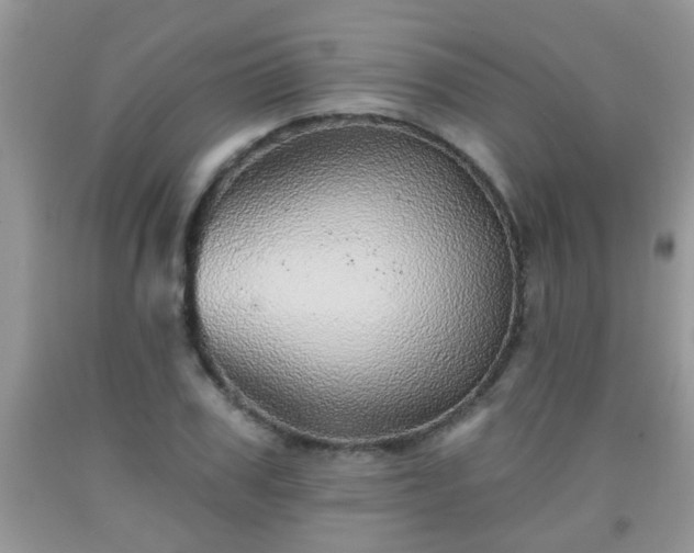 X0000092040979200709191057