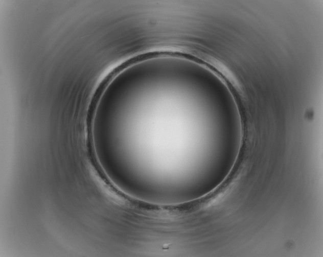 X0000092040980200709191057