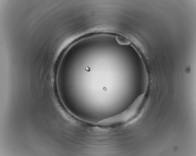 X0000092040981200709191057