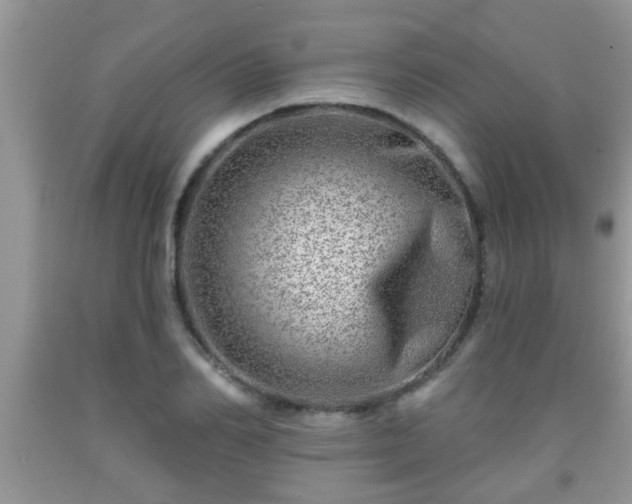 X0000092040982200709191057