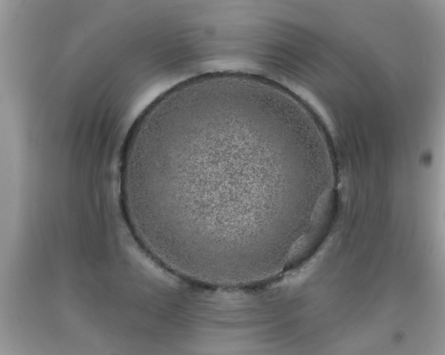 X0000092040983200709191057