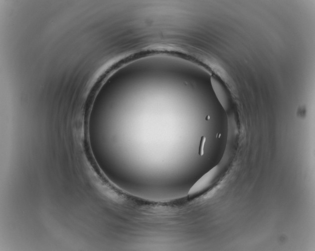 X0000092040984200709191057