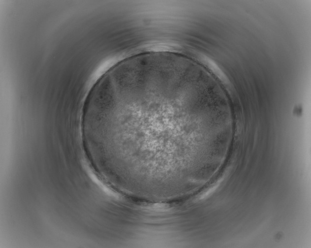 X0000092040986200709191057