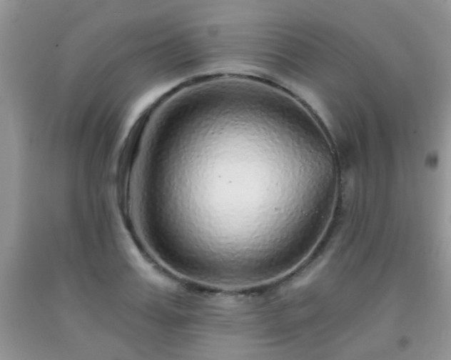 X0000092040987200709191057