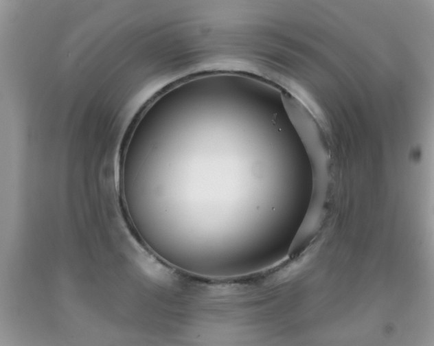 X0000092040988200709191057