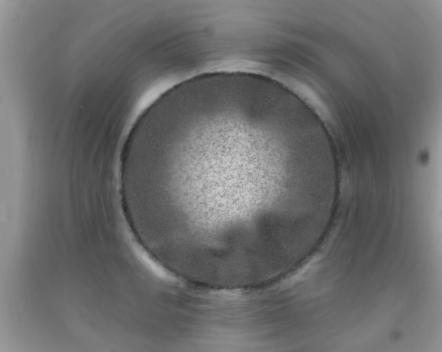 X0000092040990200709191057