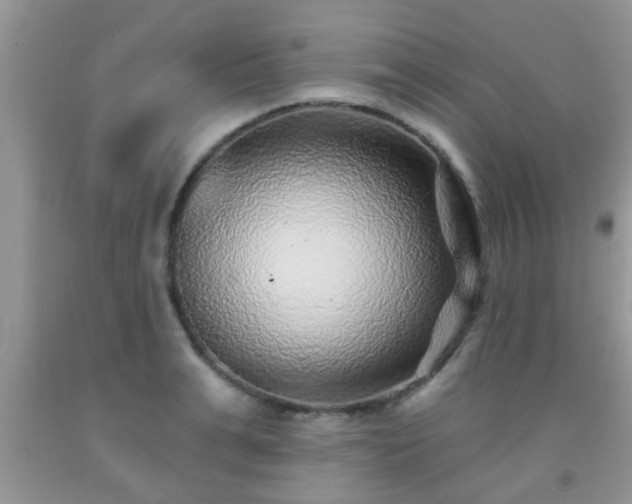 X0000092040991200709191057