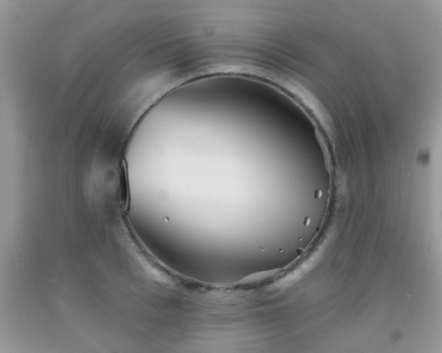 X0000092040993200709191057