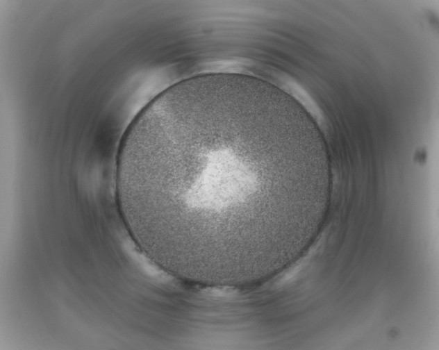 X0000092040994200709191057