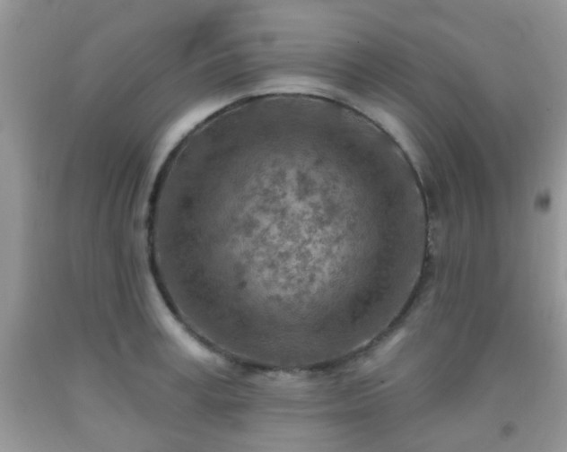 X0000092040995200709191057