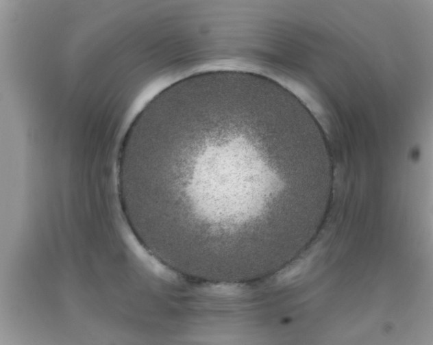 X0000092040998200709191056