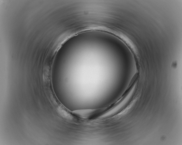 X0000092041001200709191056