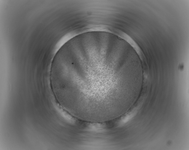 X0000092041002200709191056