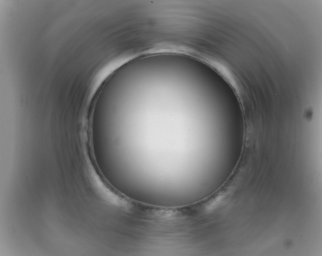 X0000092041003200709191056