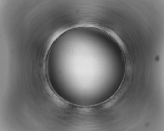 X0000092041004200709191056